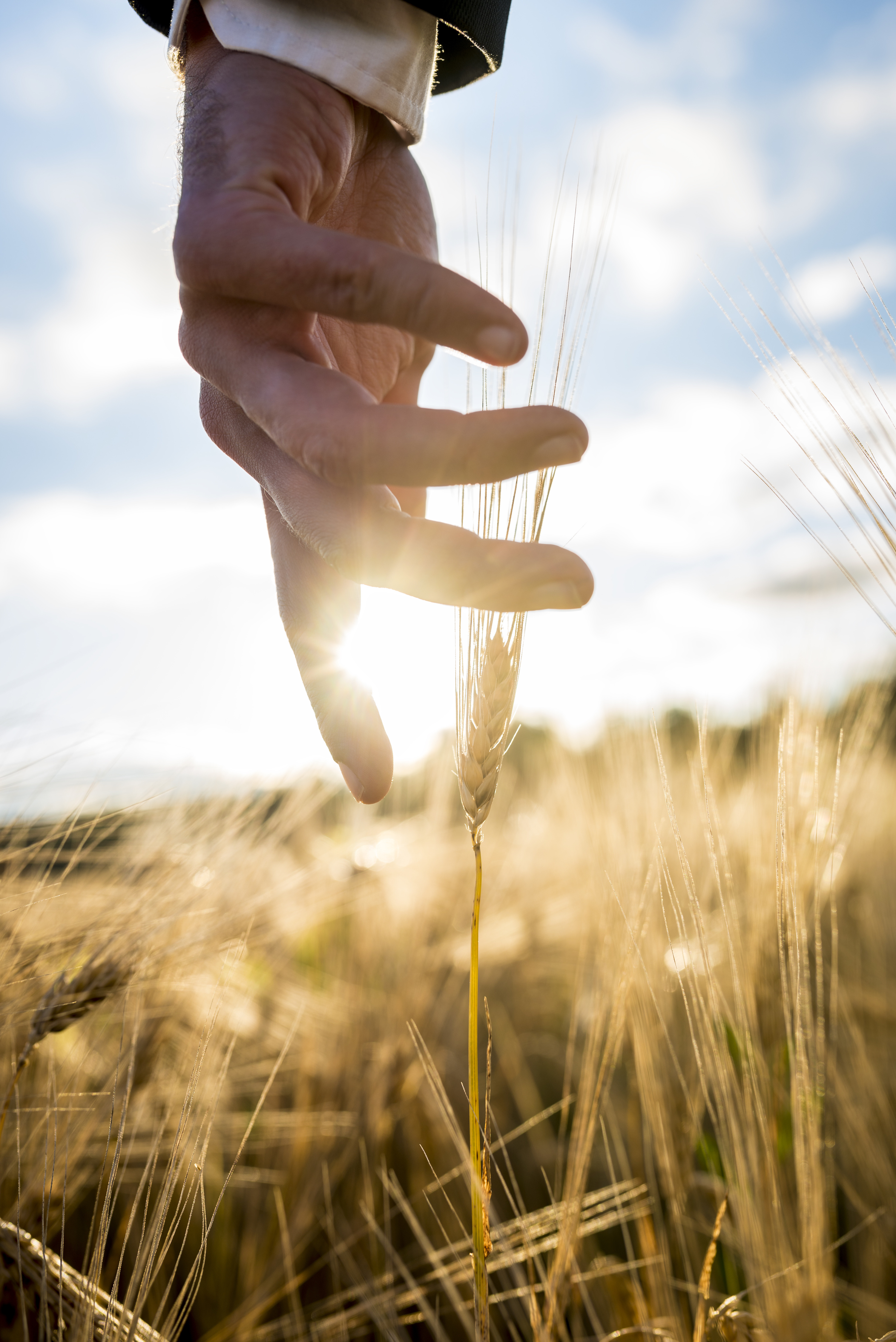 Brandon Silveira Meets with Farmland Investor at a Farmland Investment Property