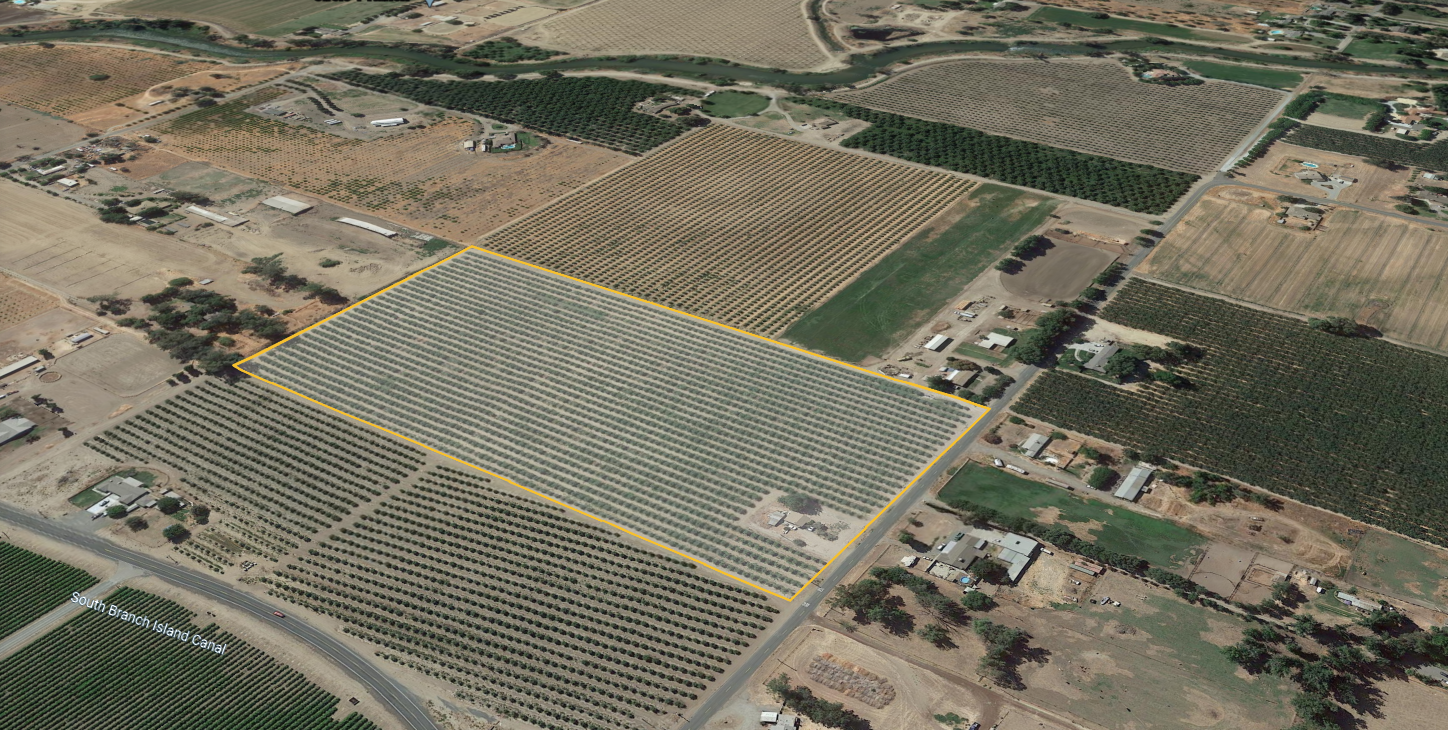 California Almond Orchard